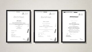 Weitere Zertifikate